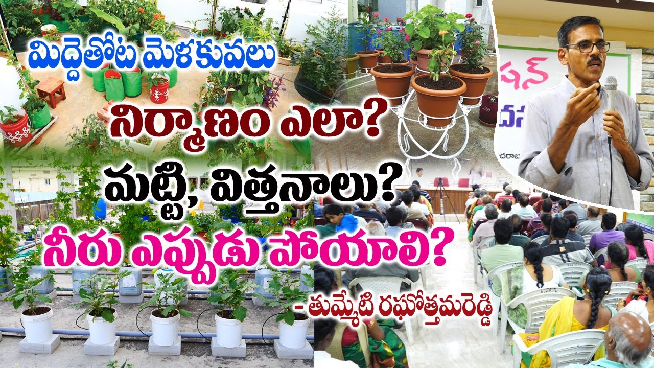 Terrace Gardening Tips by Tummeti Raghottam Reddy || Rythunestham