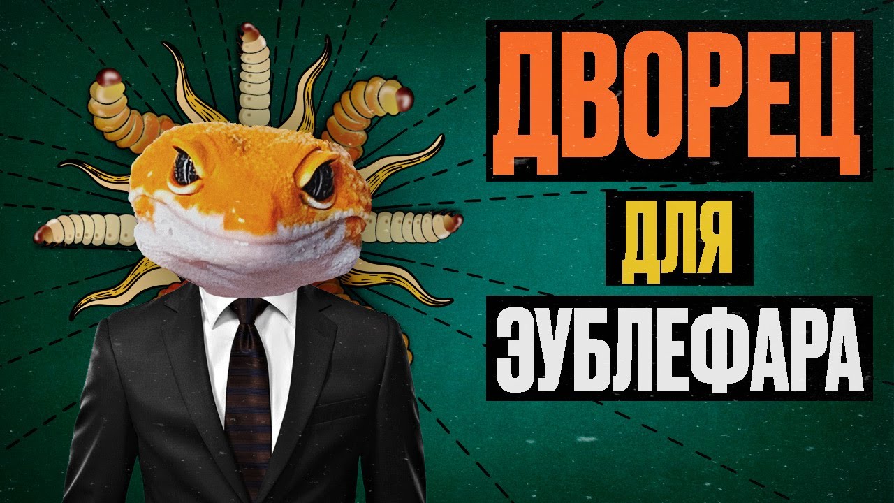Дворец для эублефара. История строительства | Делаем террариум для эублефара на базе EXO TERRA