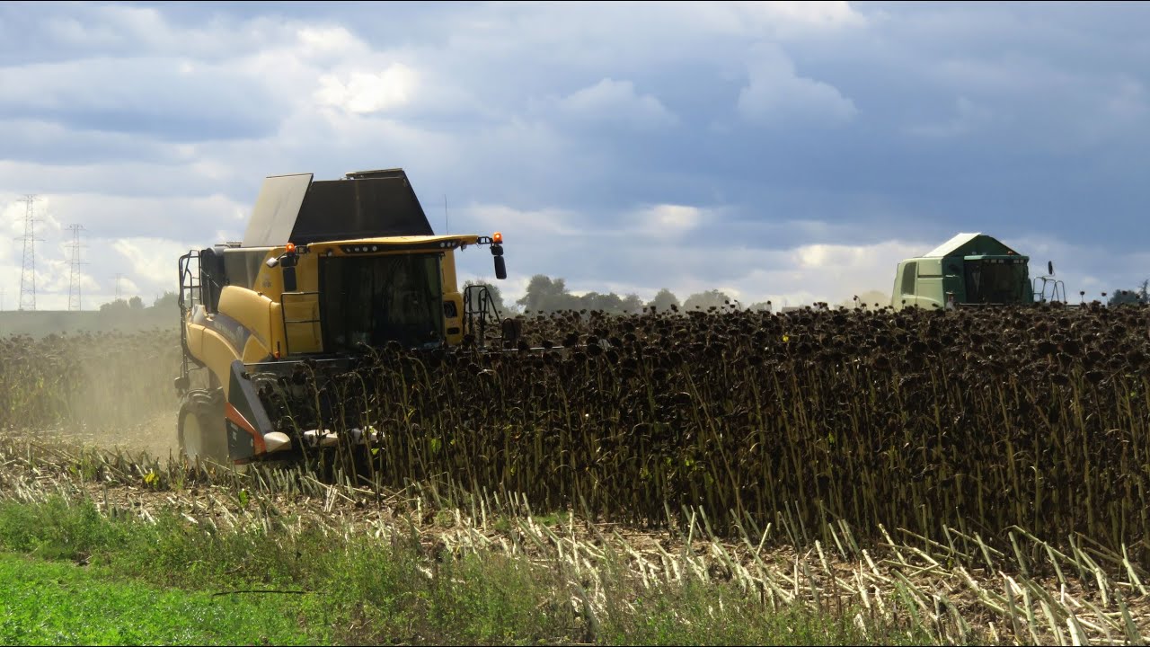 New Holland CR 8.90 Jphn Deere 9560wts Sunflower Harvest 2025