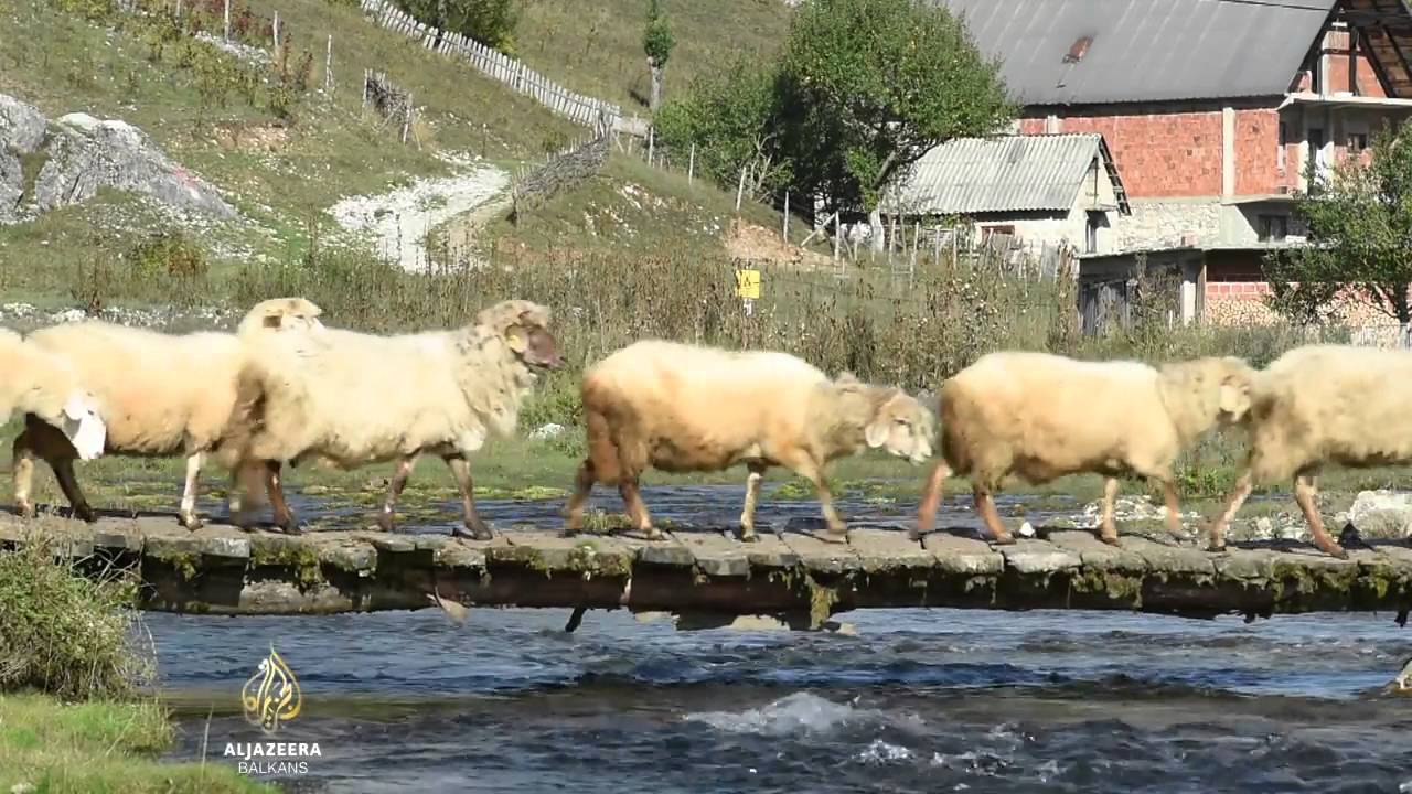 Al jezeera Balkans 