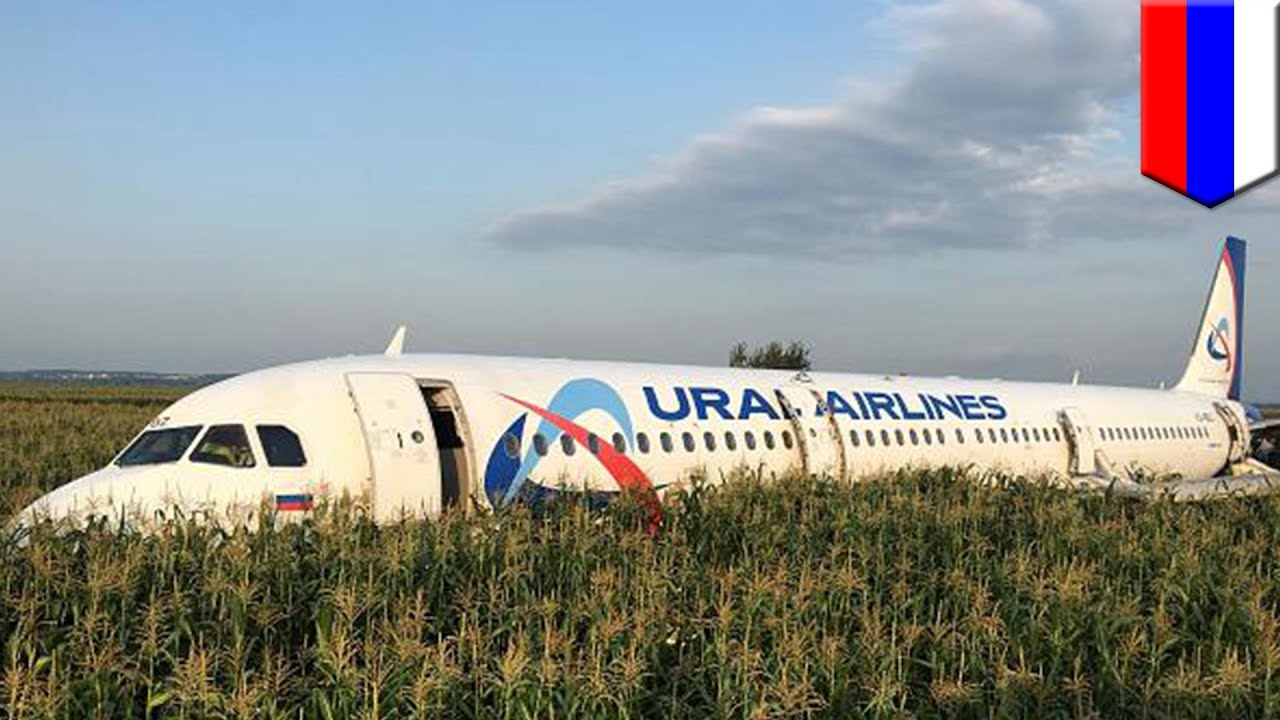 Hero pilot makes emergency crash landing after bird strike - TomoNews