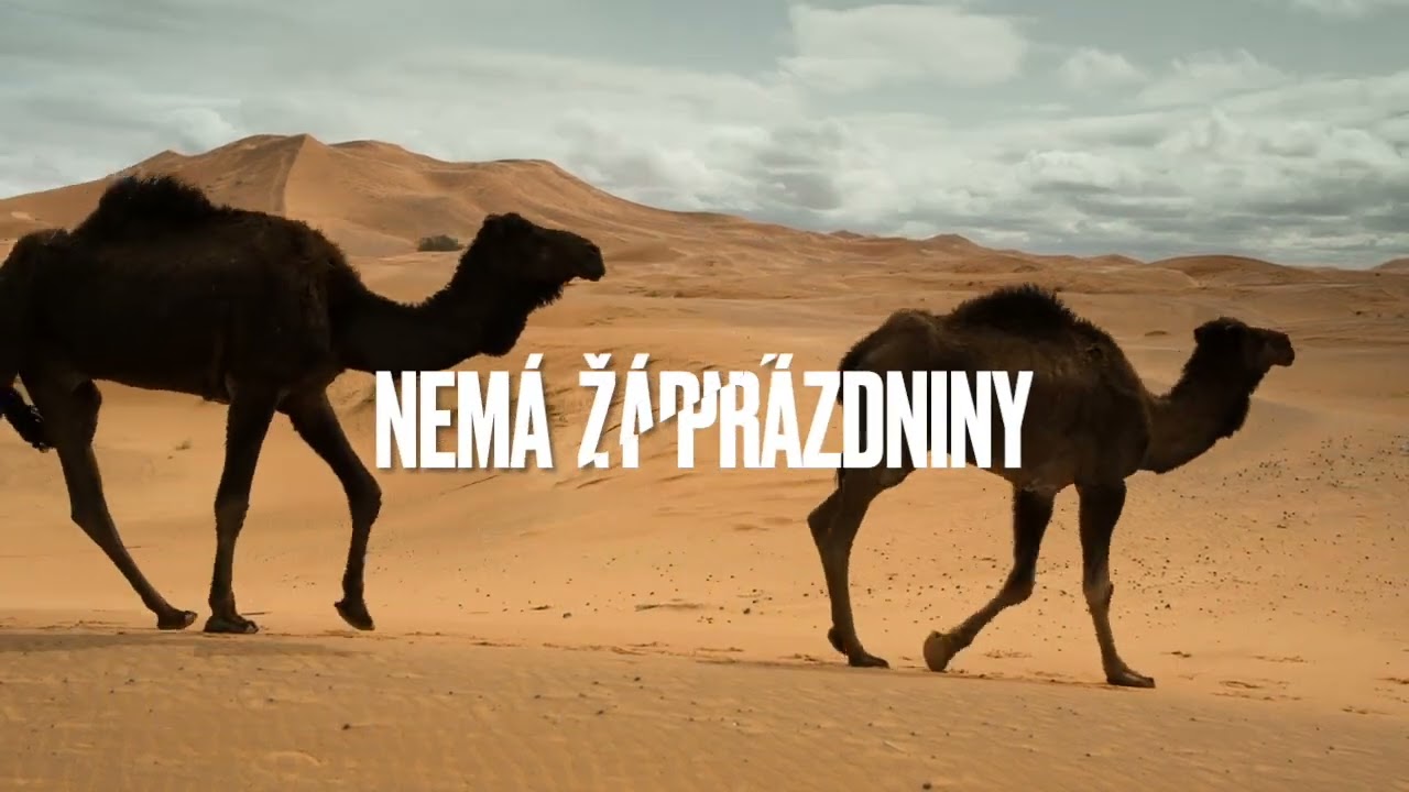 zvířetník-velbloud