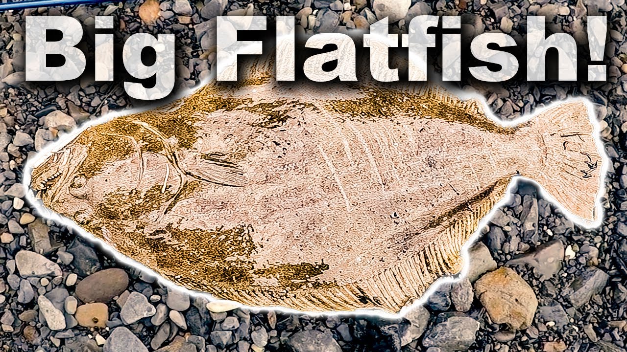 Catching Flounder in the Surf and Cooking it the Japanese Way