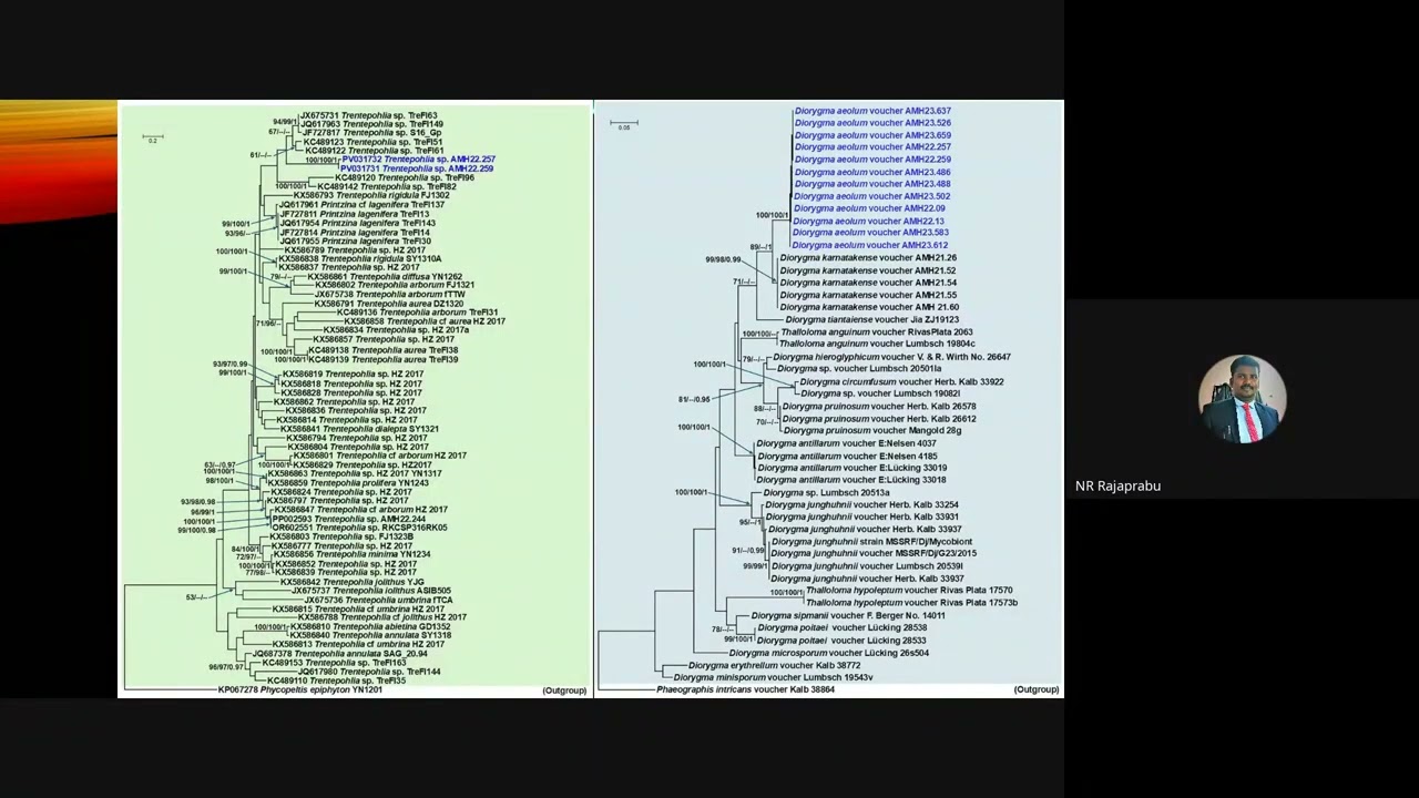 The Modern Gateway to Lichenology: Coupling Chemistry and Genomics for Reproducible Phylogenetics