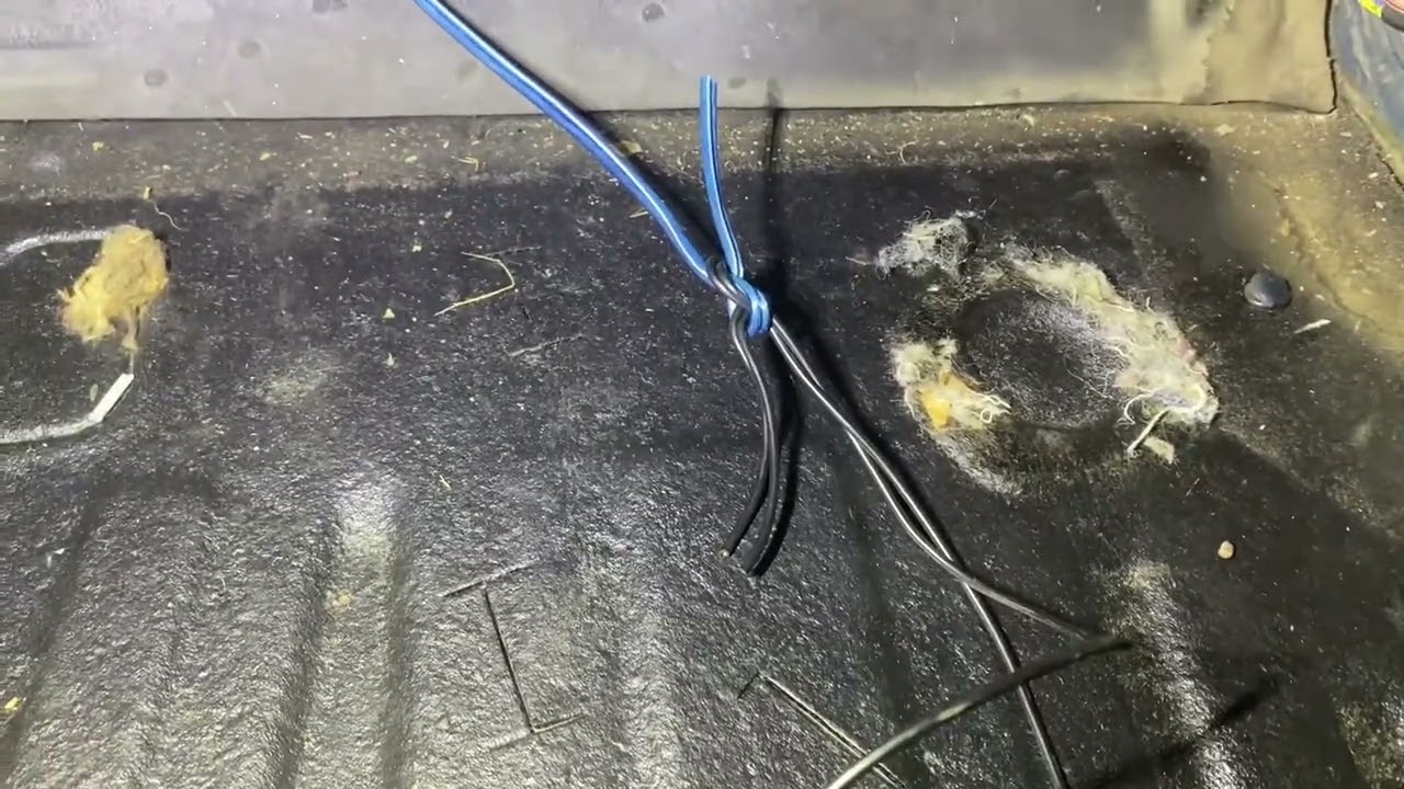 Wiring up Reverse Lights on a manual swapped 96-00 Honda Civic