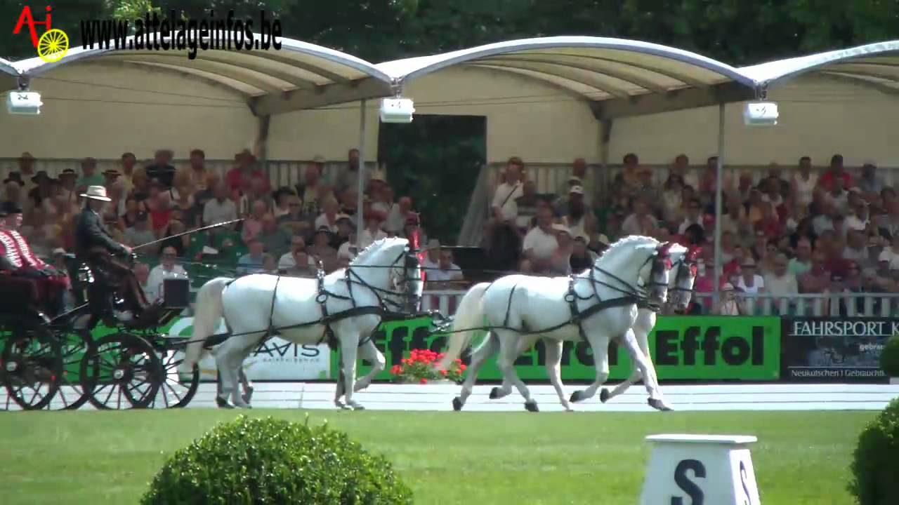 Zoltan Lazar - DRESSAGE - WFC RIESENBECK 2012