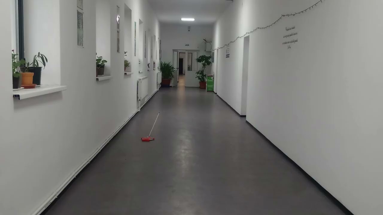 Școala mea