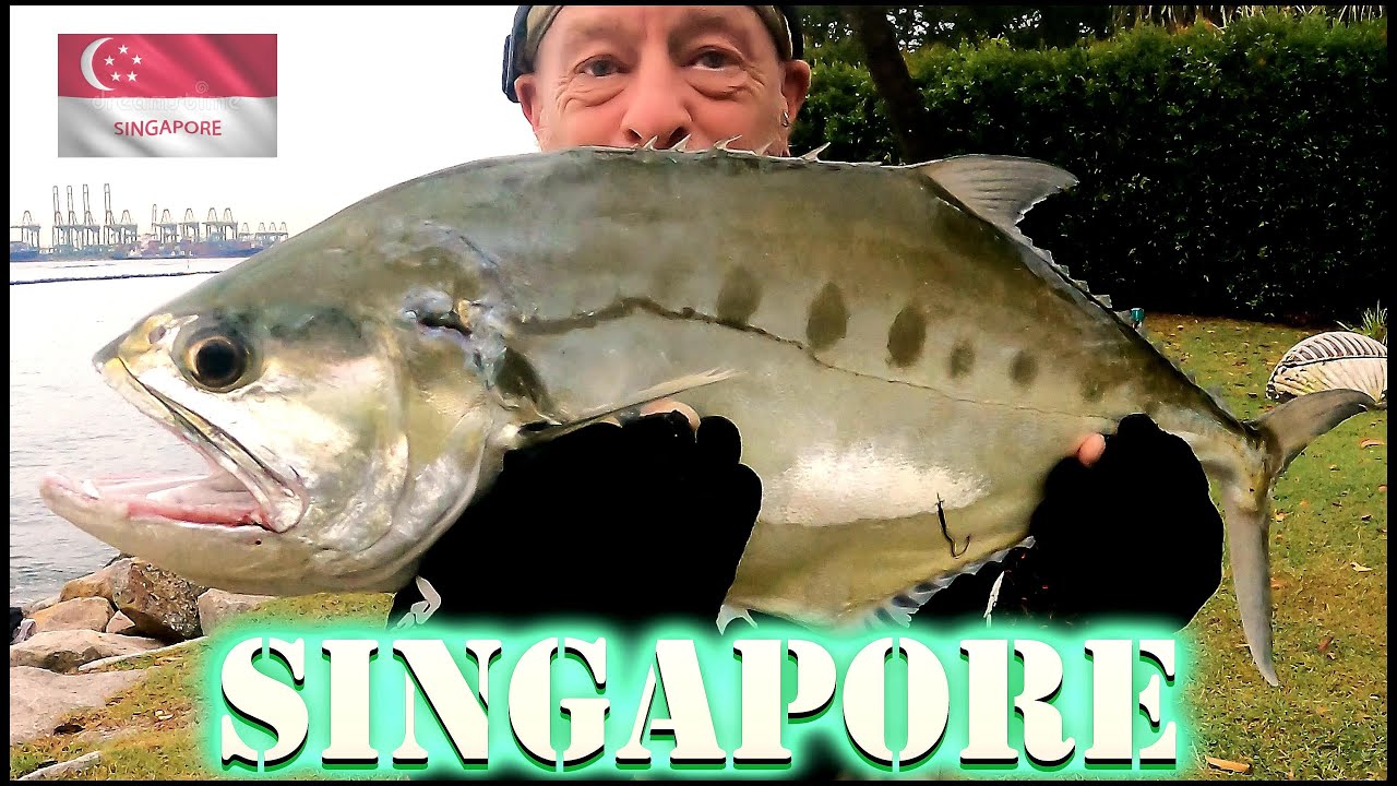 Рыбалка для новичков в Сингапуре &mdash; ловля рыбы на приманку с берега