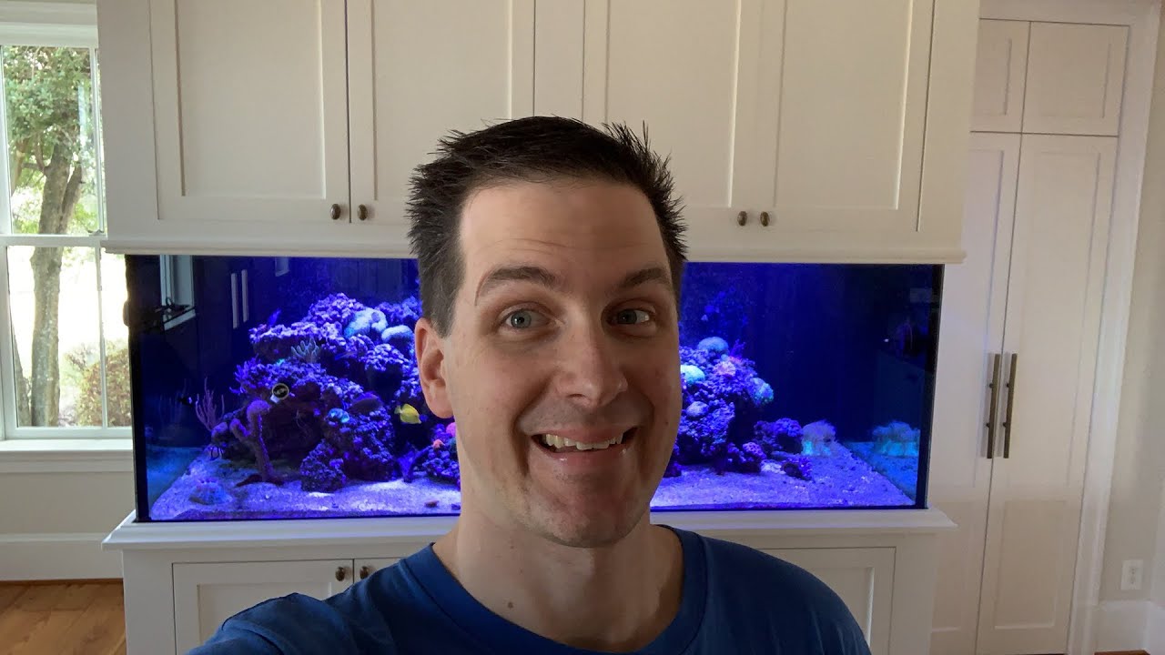 Live Walkthrough of a 400g VIP Reef Tank Build