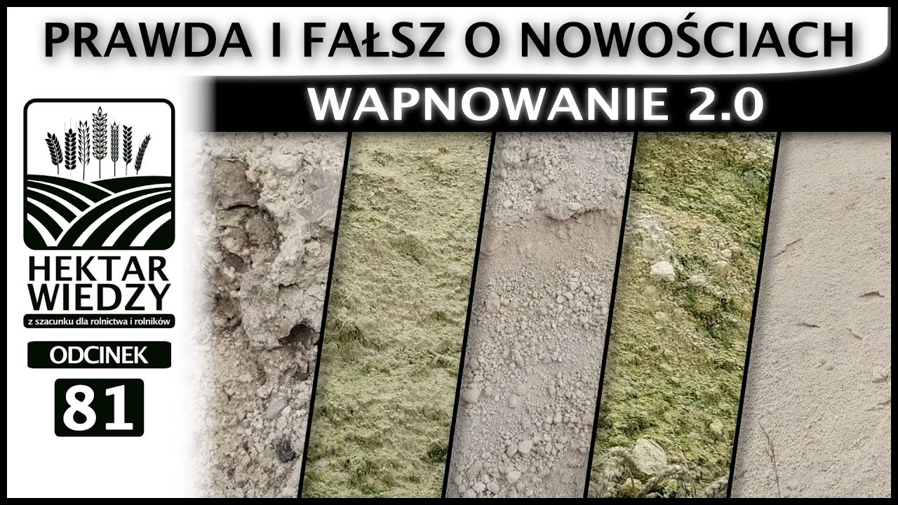 WAPNOWANIE 2.0, CZYLI PRAWDA I FAŁSZ O NOWOŚCIACH. | ODCINEK #81