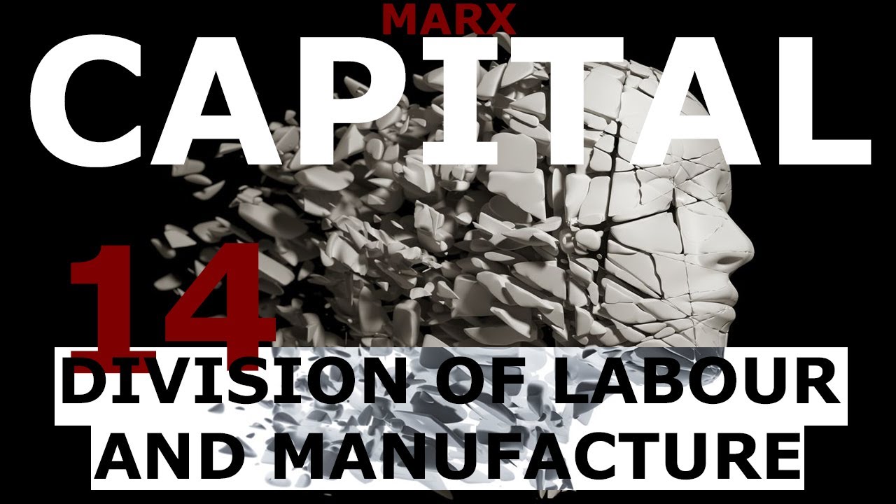 Understanding Marx's Capital Volume 1 Chapter 14 - Division of Labour and Manufacture