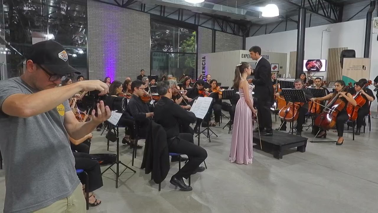 Concierto para volín y orquesta n. 2 en Re menor - Mov. I y II (H. Wieniawski)	