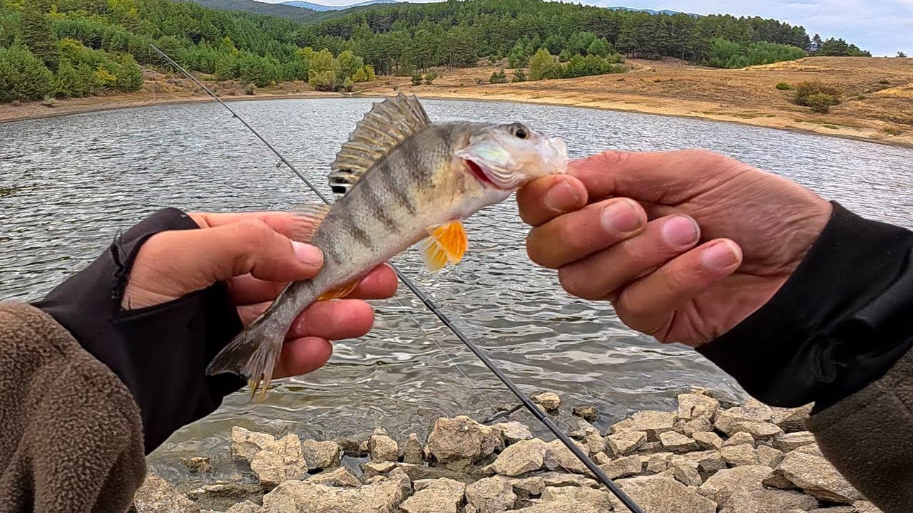 ТЕСТ НА РЪЧНИ ВОБЛЕРИ И КЪС РИБОЛОВ НА КОСТУР