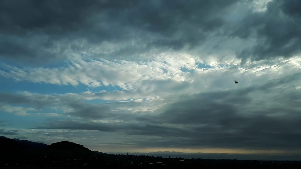 Undulatus Asperatus