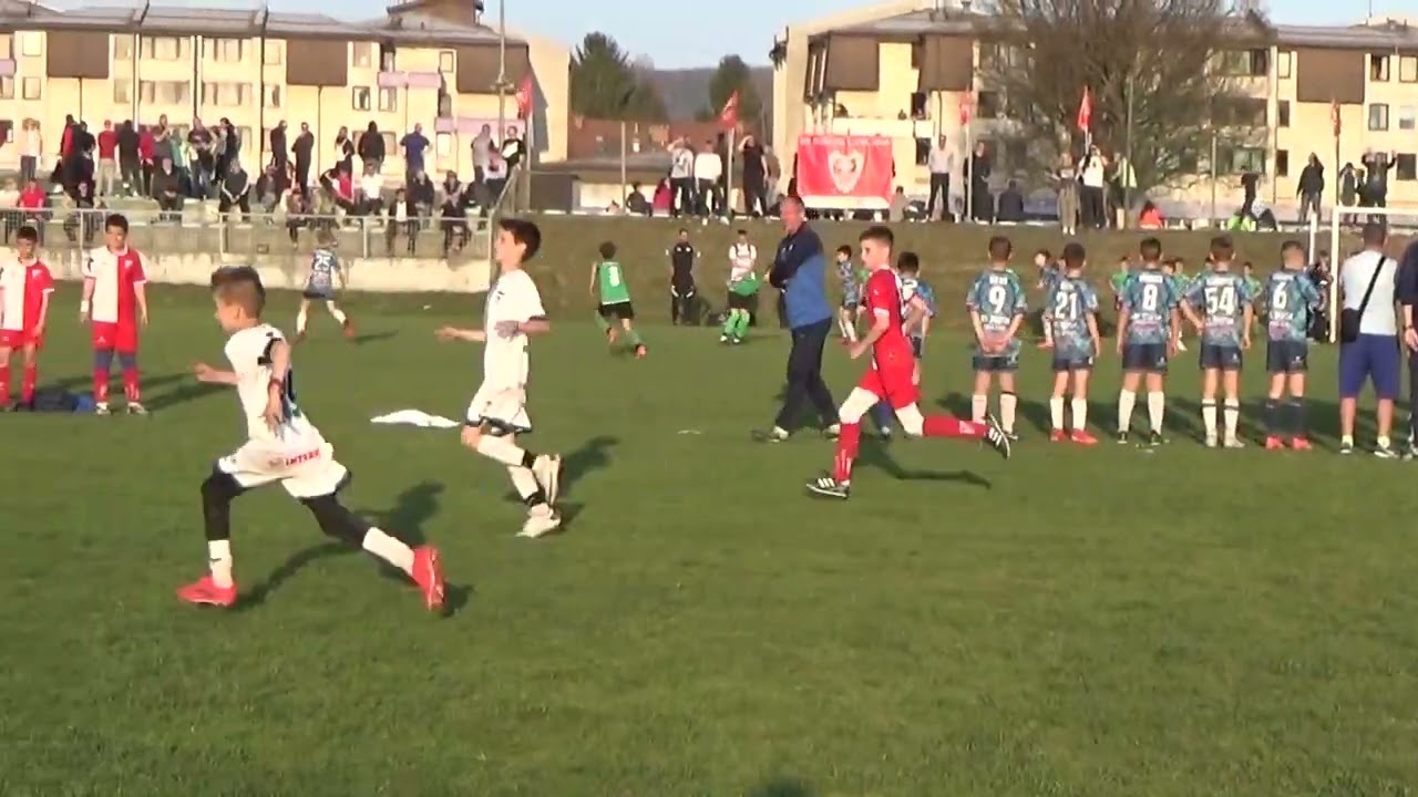 8.MEDJUNARODNI TURNIR ZMAJEVO GNEZDO(SLOVENIJA) FK VOJVODINA - NIKA G-2011