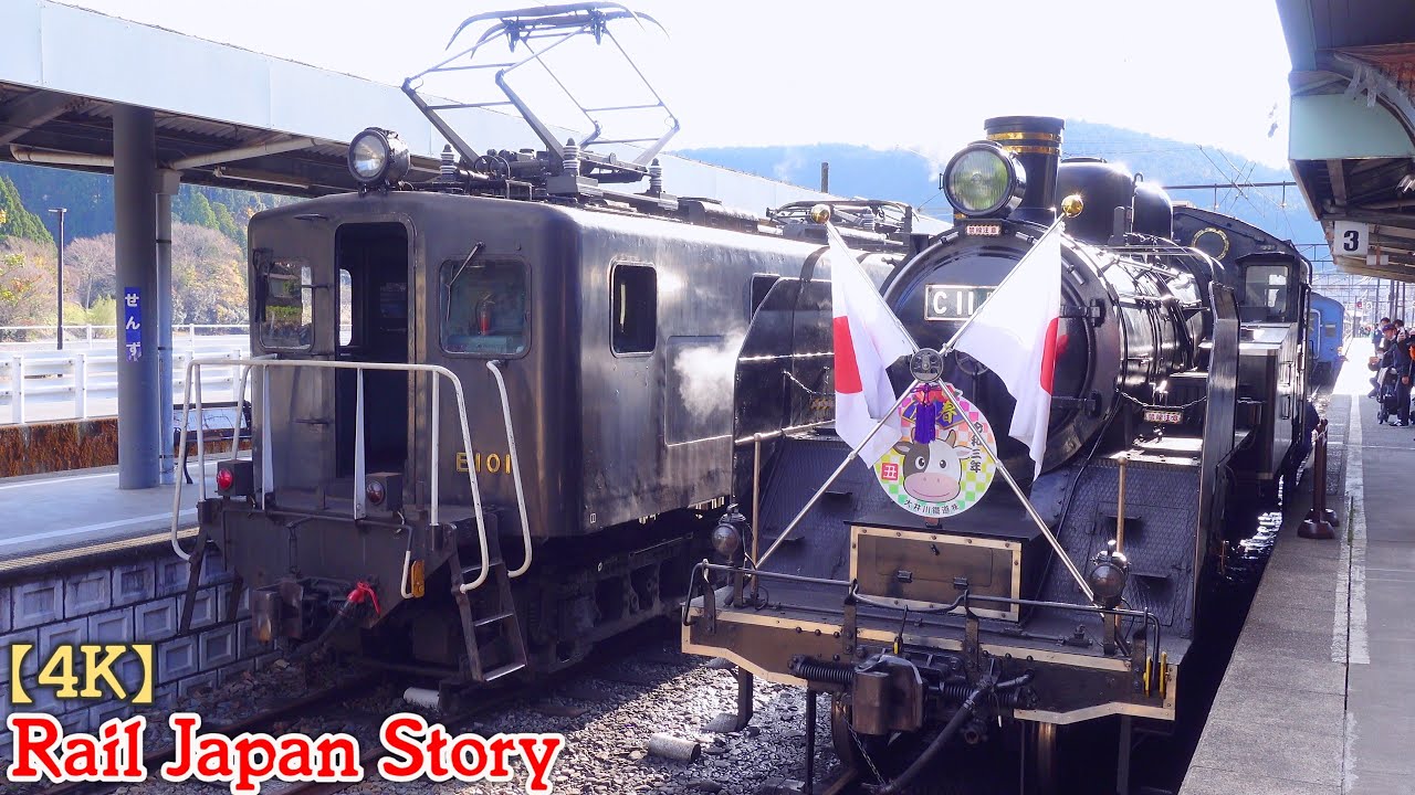 C11 Steam Locomotive backrunning for shunting at Senzu Station on the Oigawa Railway | Train Japan
