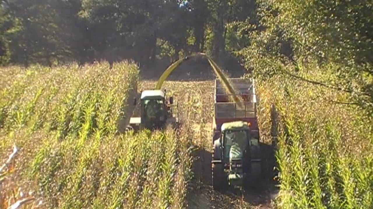 ensilage de maïs 2010 dans le morbihan (silage in France 2010)