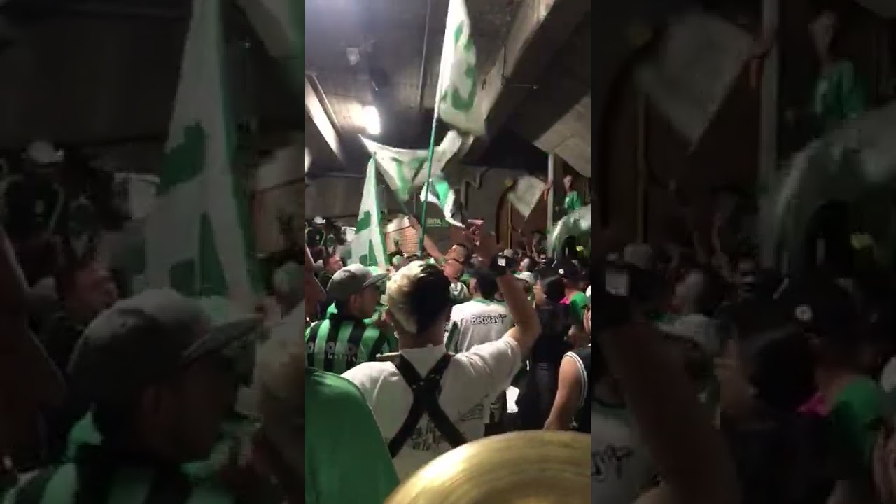 Por vos verde me muero | Los Del Sur