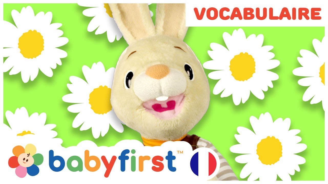 Apprendre les premiers mots avec Henri le Lapin | Apprendre les formes et les couleurs | BabyFirst