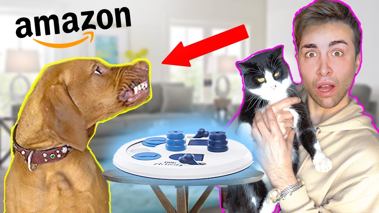 TESTO L’INTELLIGENZA DEL MIO CANE *FINITO MALE* | GIANMARCO ZAGATO