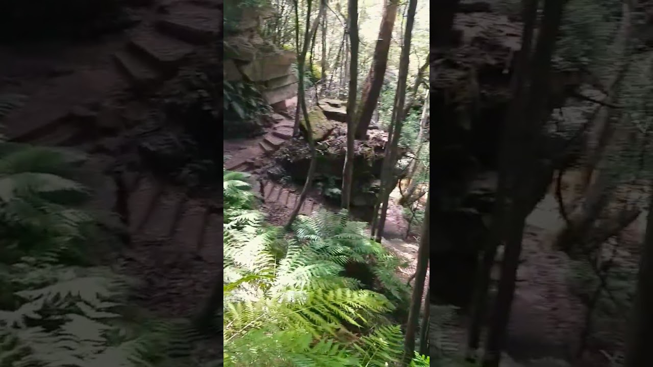 Pool of Siloam Track #bluemountains