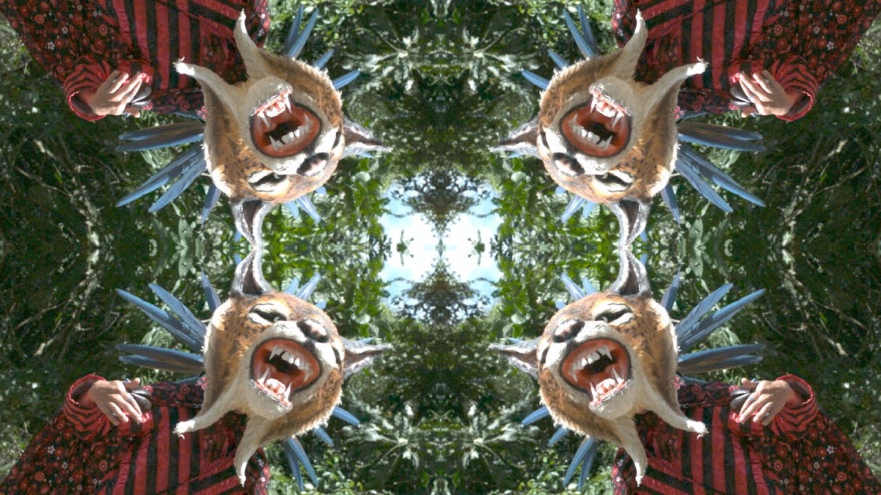 Life in the Tropics - Cienfue
