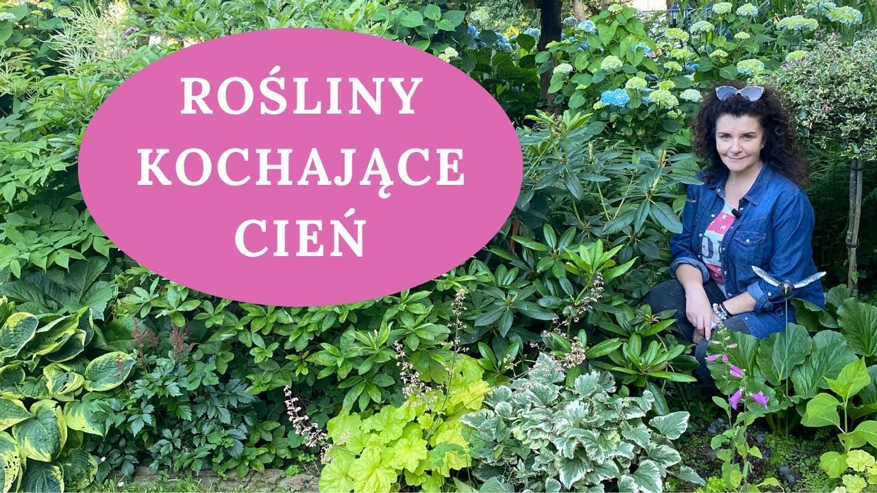 TOP 20 roślin do cienia i półcienia - w tym obficie kwitnących. Jakie rośliny wybrać do cienia?