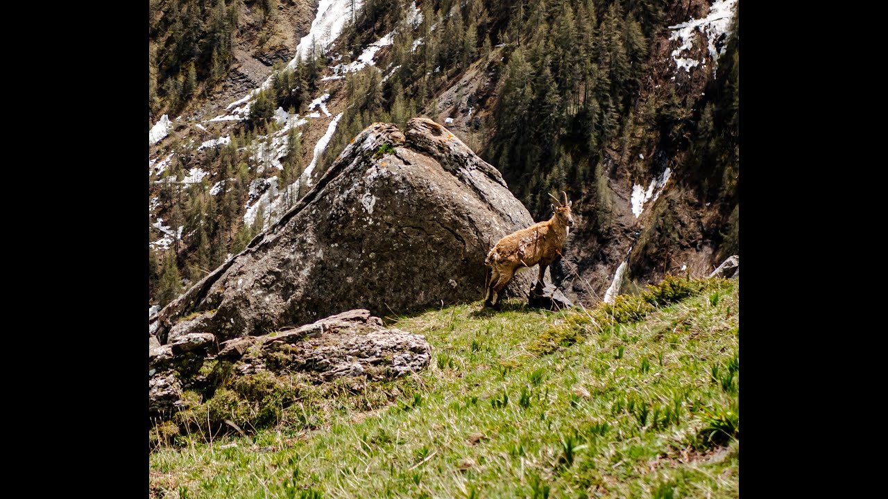 Tour de Planure / Vallée de Champoléon/ Hautes-Alpes.