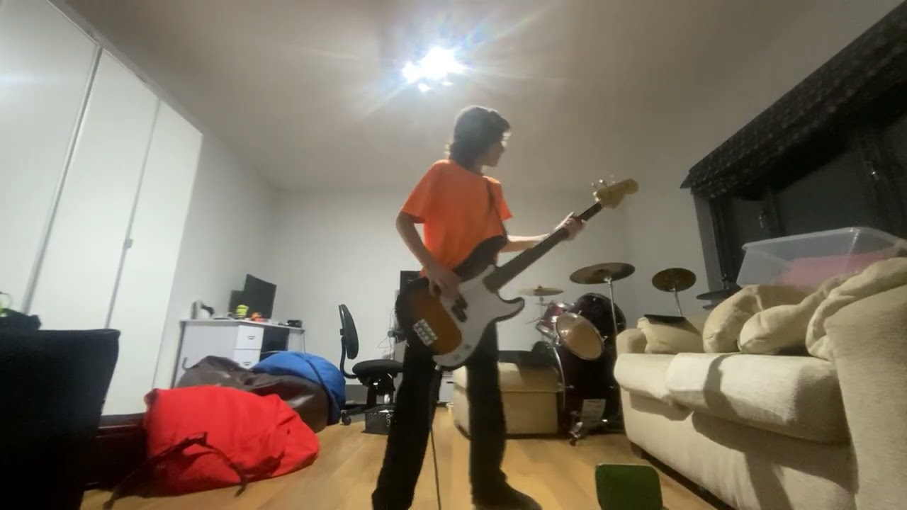 Seek and destroy bass cover #metallica 