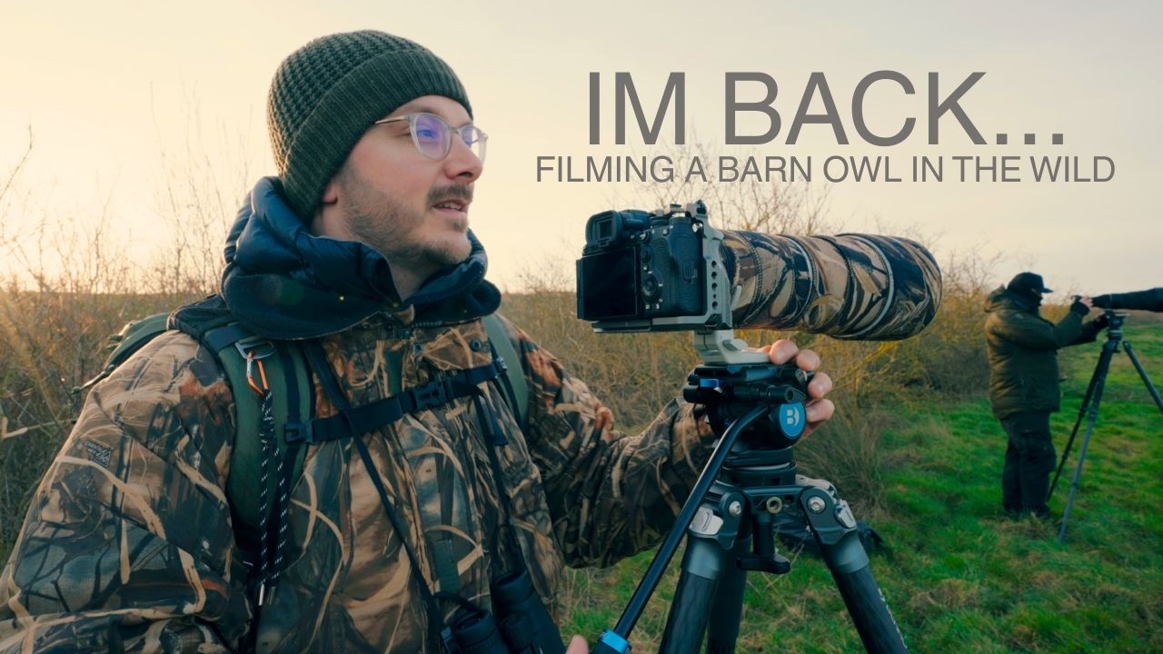I FINALLY filmed my FIRST BARN OWL... After 5 YEARS away from YouTube...