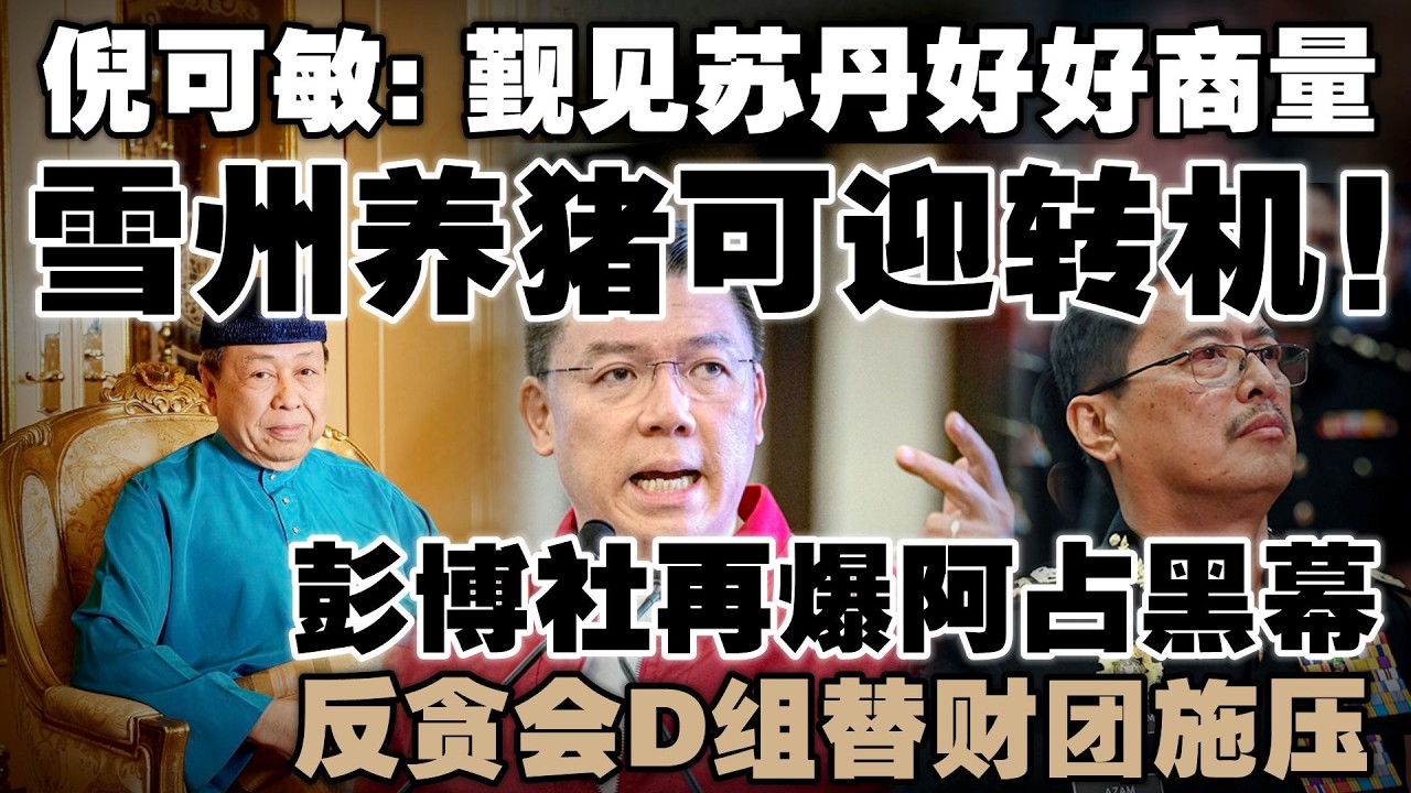 禁令生效才来马后炮？倪可敏建议觐见雪州苏丹解决养猪争议  |  彭博社再爆料，反贪会高层被指暗撑秘密单位