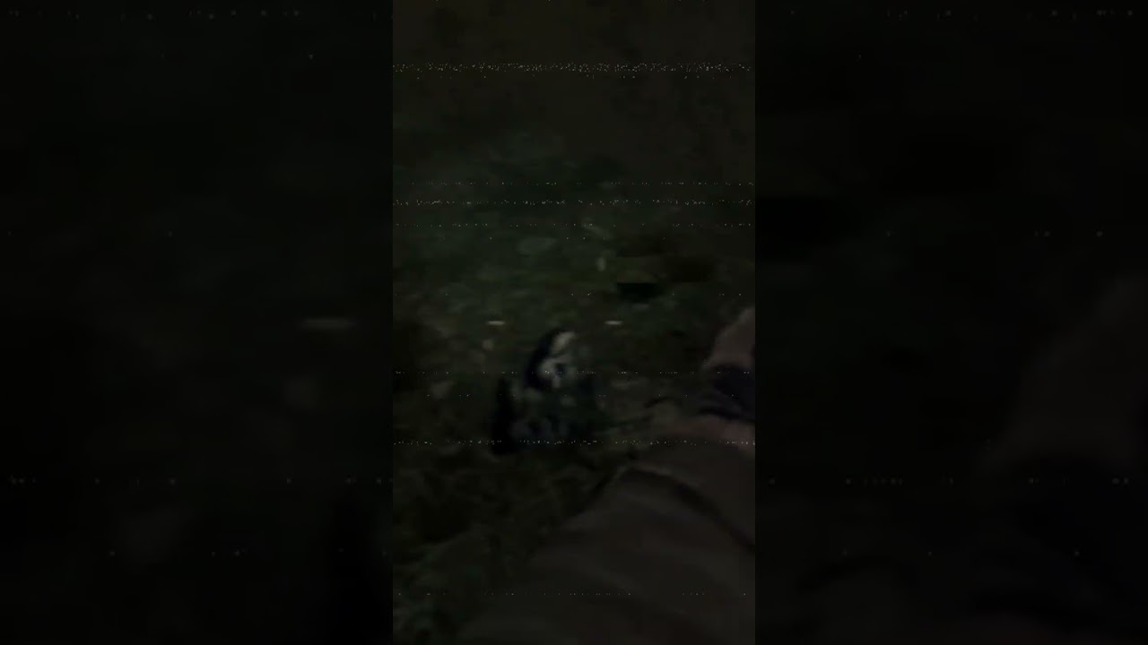 Прилёт которого не ожидал #сталкер #gaming #гемплей