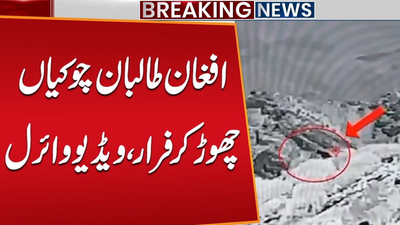 Afghan Taliban Flee Abandoned Posts | Viral Video of Retreat | Breaking News