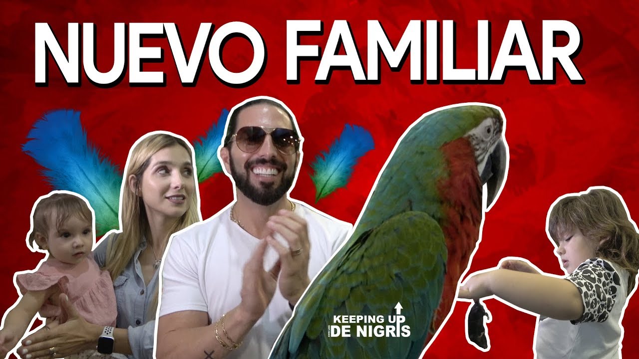 El ¡NUEVO! miembro de la familia - Keeping Up Con Los DeNigris
