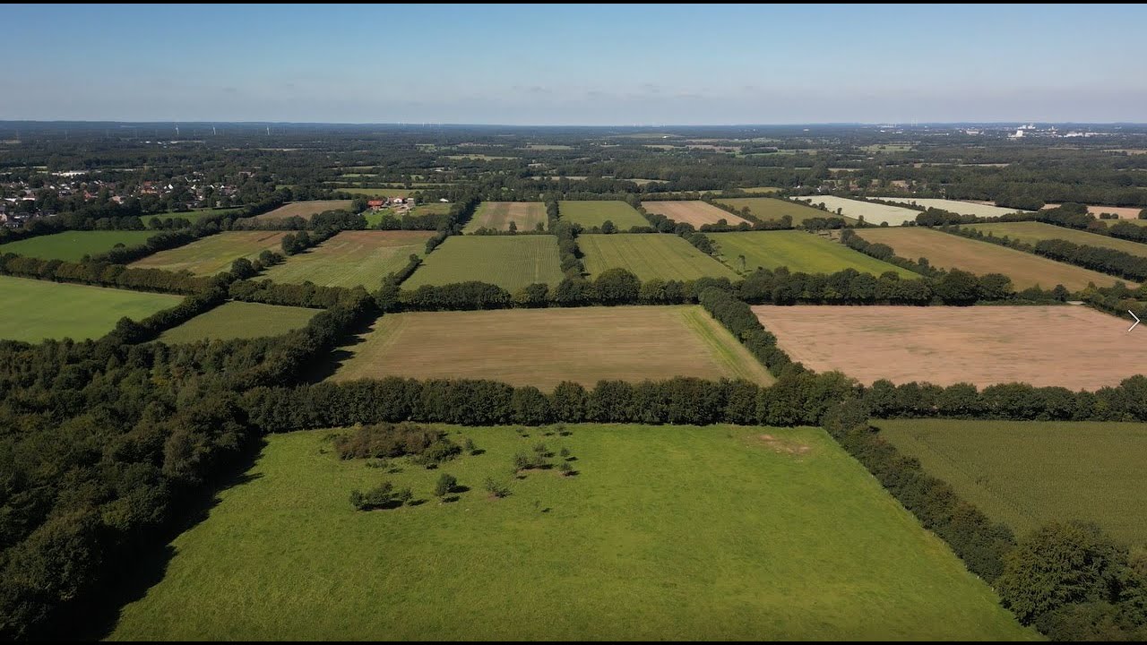 Unsere Knicklandschaft in Schleswig-Holstein – Ein Refugium für die Natur