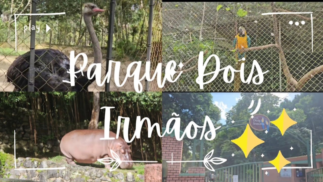 ✨️Passeio no Zoológico do Recife. Parque Dois Irmãos ✨️ 2024