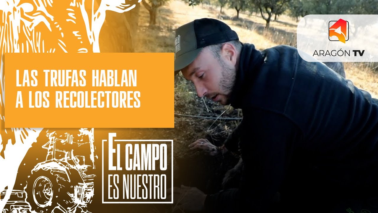 Las trufas hablan a los recolectores / Raúl Deoiz