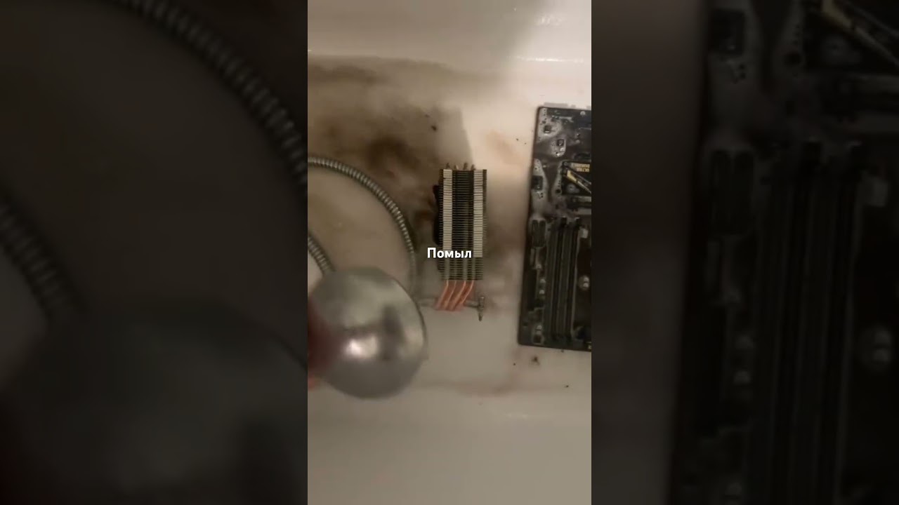КАК ДУМАЕТЕ НОРМАЛЬНО? | TikTok: madcomputers