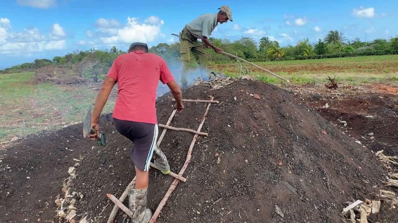 Charcoal being made in Cuba  #cuba #cubanos #organicagriculture #canadatocuba #farmer