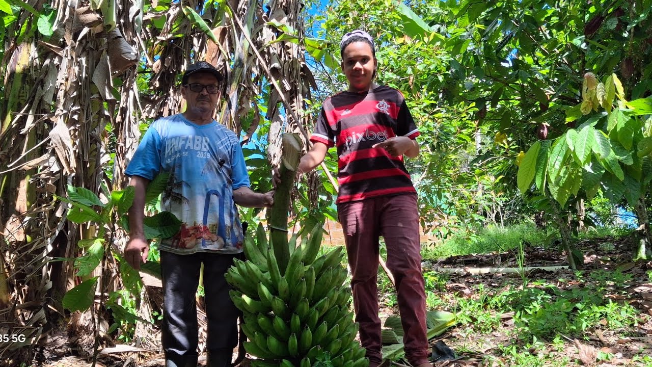 Cacho de banana surpreendente!