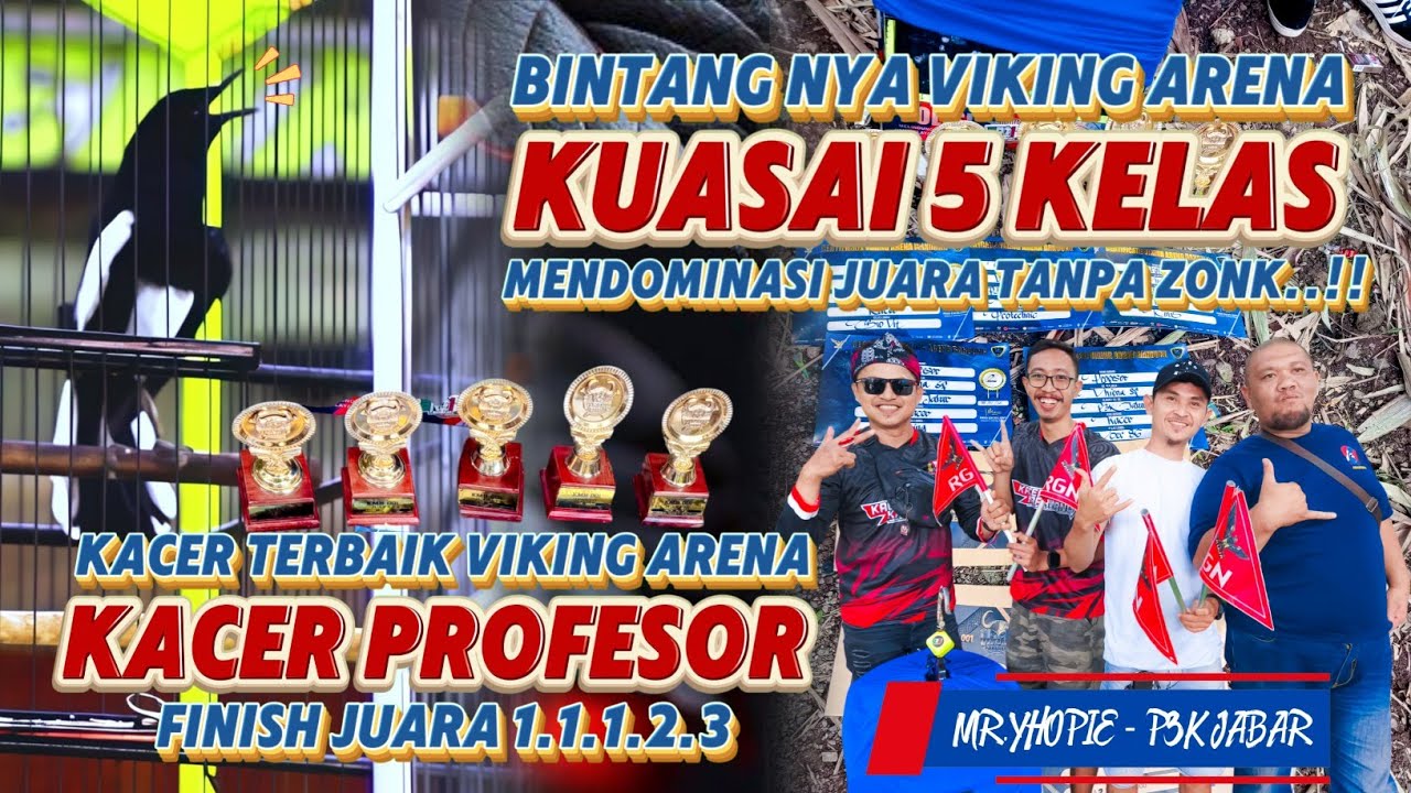 BINTANGNYA KACER VIKING ARENA BANDUNG PROFESOR JUARA MENDOMINASI FINISH JUARA 1.1.1.2.3🔸YHOPIE P3K