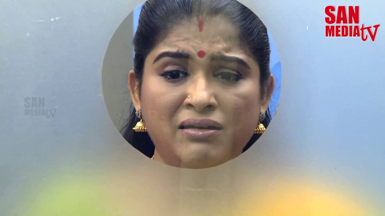BOMMALAATAM - பொம்மலாட்டம் - Episode 1043 (10/06/2016)