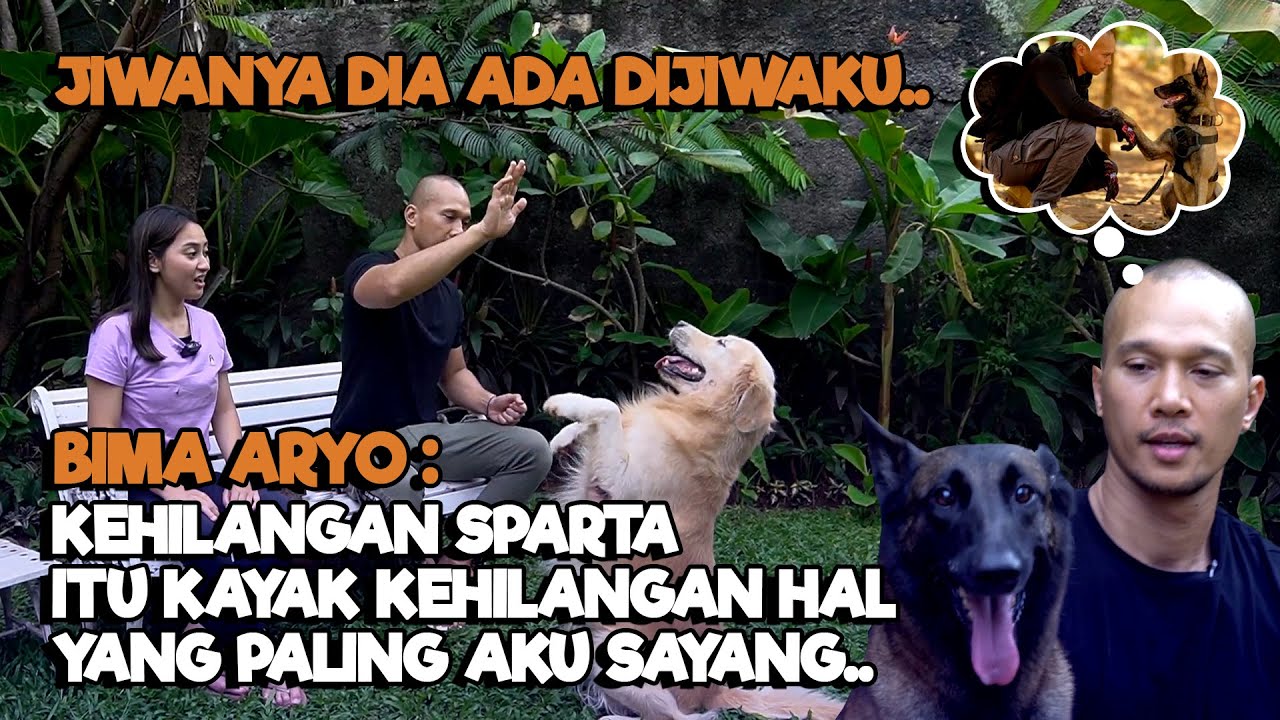 IKATAN BATIN BIMA ARYO DENGAN ANABUL, MELEBIHI HUBUNGANNYA DENGAN MANUSIA