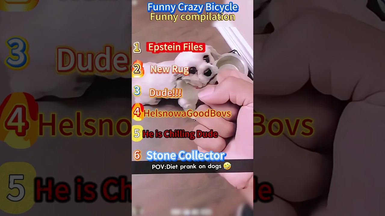 Их реакции довольно забавные🤣 #shortsfeed #funnyvideos #viralshorts