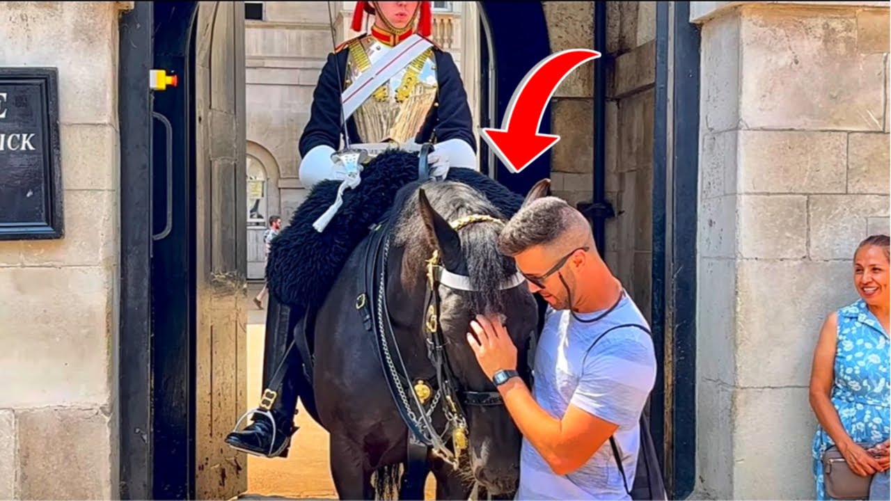 OMG UNBELIEVABLE: WATCH THE REACTION OF THIS HORSE WHEN HE SEES THE TOURISTS!