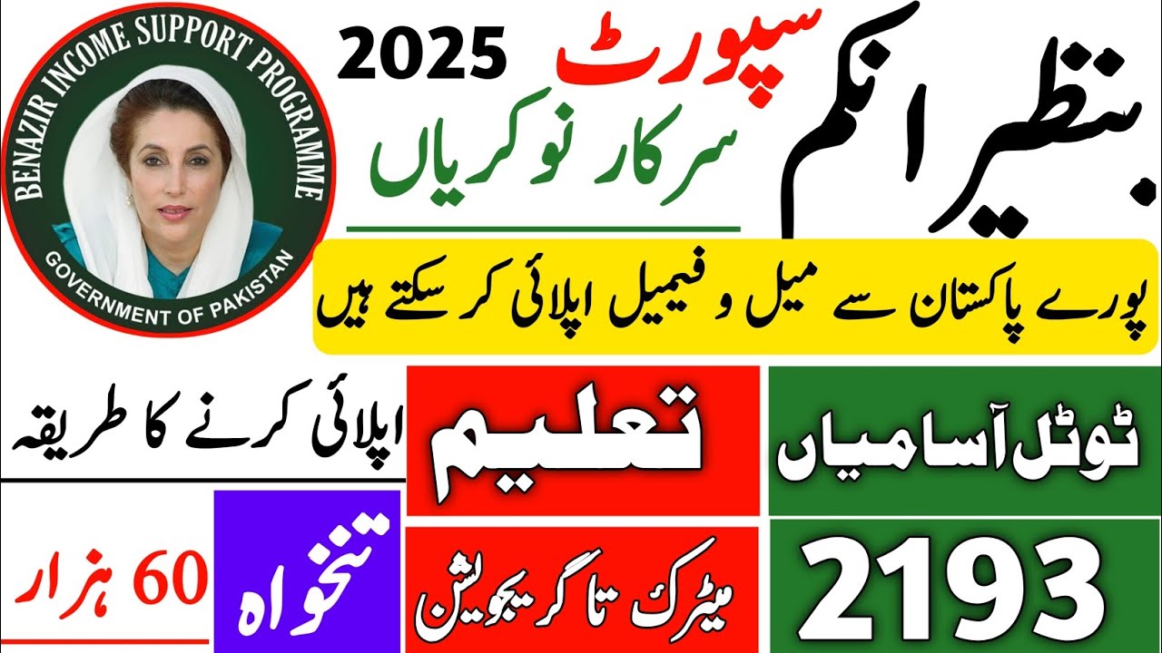 Benazir income support programe online apply 2025|How to online apply for BISP|BISP jobs 2025 #bisp