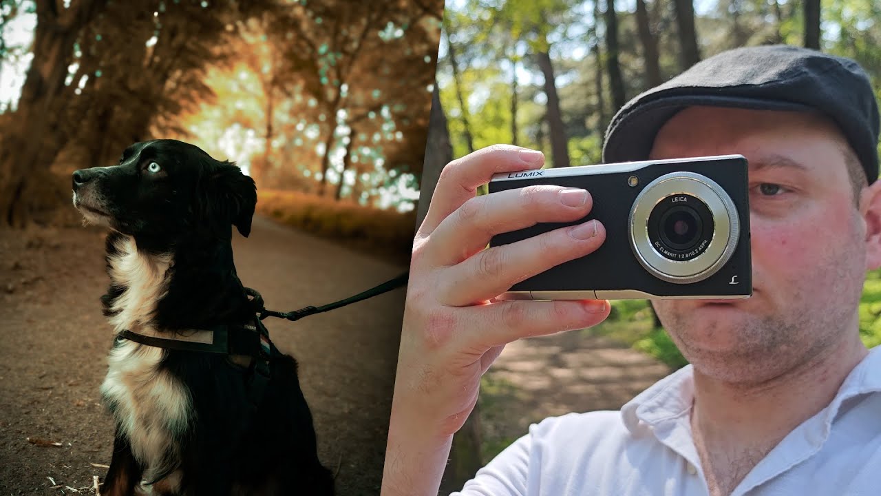 This Panasonic Lumix Captures better shot than the Samsung Galaxy S24 Ultra!