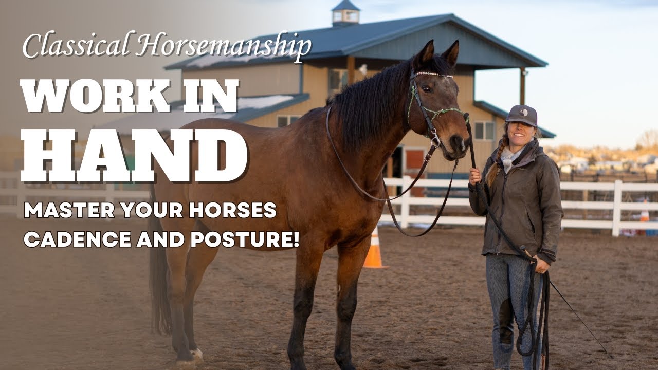 Work-In-Hand vs. Liberty Work: What Actually Prepares Your Horse for Riding?