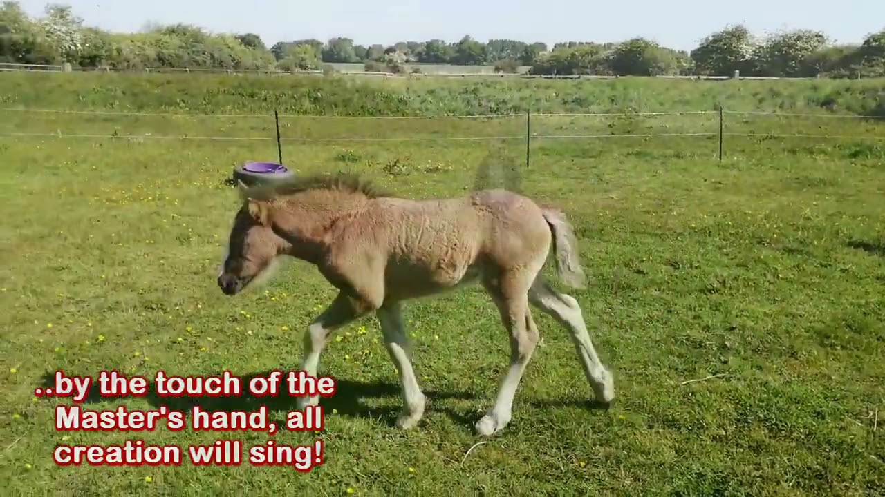 Music Worship: “Here in God’s House” by Larry Gentis.  The house? Our beloved United Kingdom!