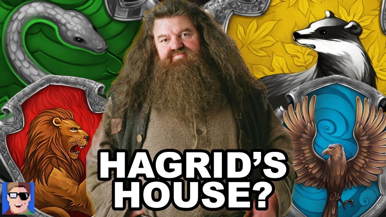 Which House Was Hagrid In? | Harry Potter Theory